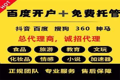 SEM运营公司案例研究：优化广告投放策略
